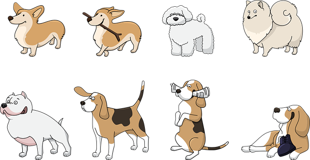 Dogs placeholder